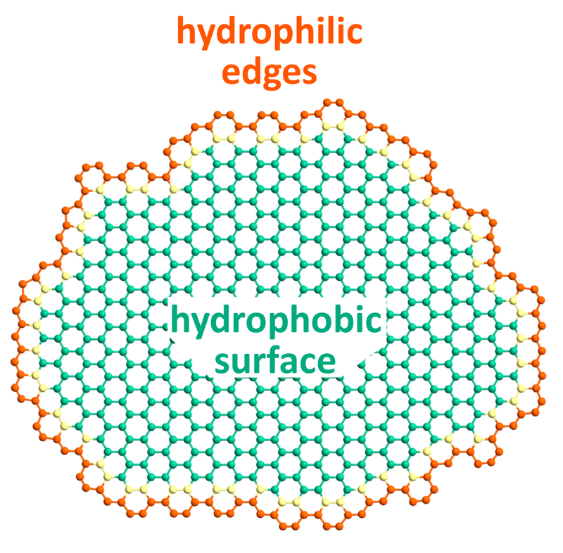 The Amphipathic Nature of Graphene Flakes