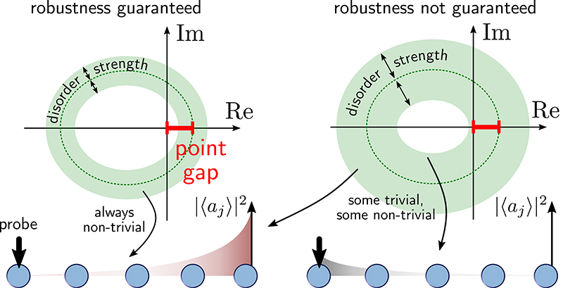 Complex spectrum in the presence of disorder: the eigenvalues fall within an annular region that includes the curve of the disorderless spectrum. The topology of inner and outer bound of this annular region have to be the same for the directional amplification to be robust.